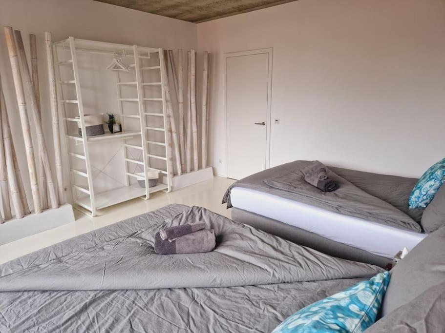 Exklusives Design-Penthouse Mc1 Apartment Зелингенщад Екстериор снимка